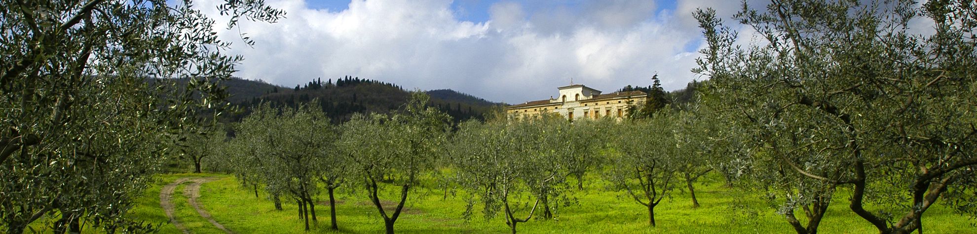 Villa del Barone Montemurlo