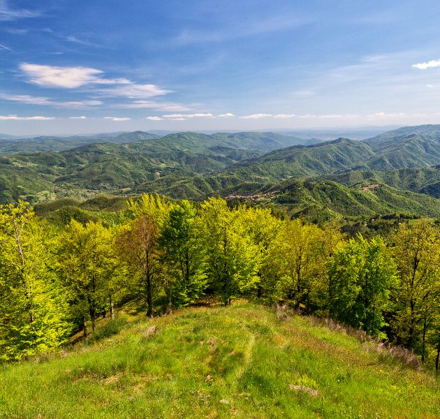 poggio-di-petto-crinale-edited-card-ph-faldi