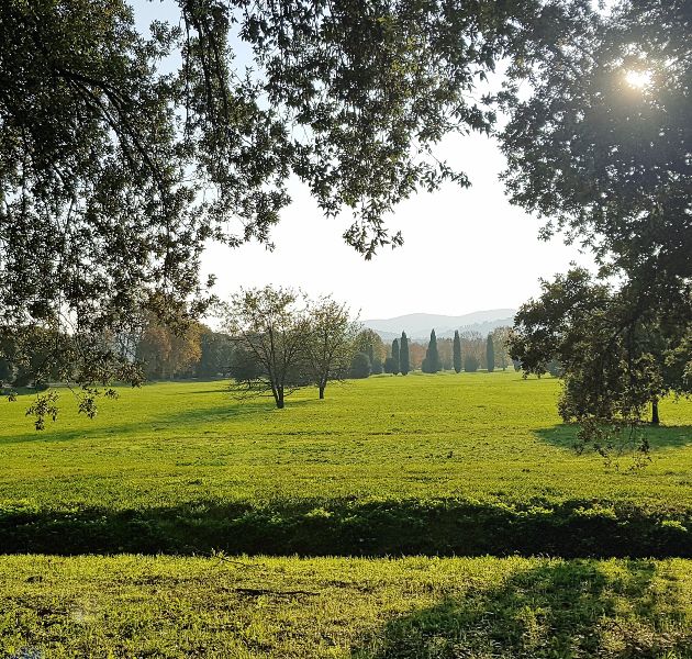 cascine-di-tavola-edited-card-ph-postiferi