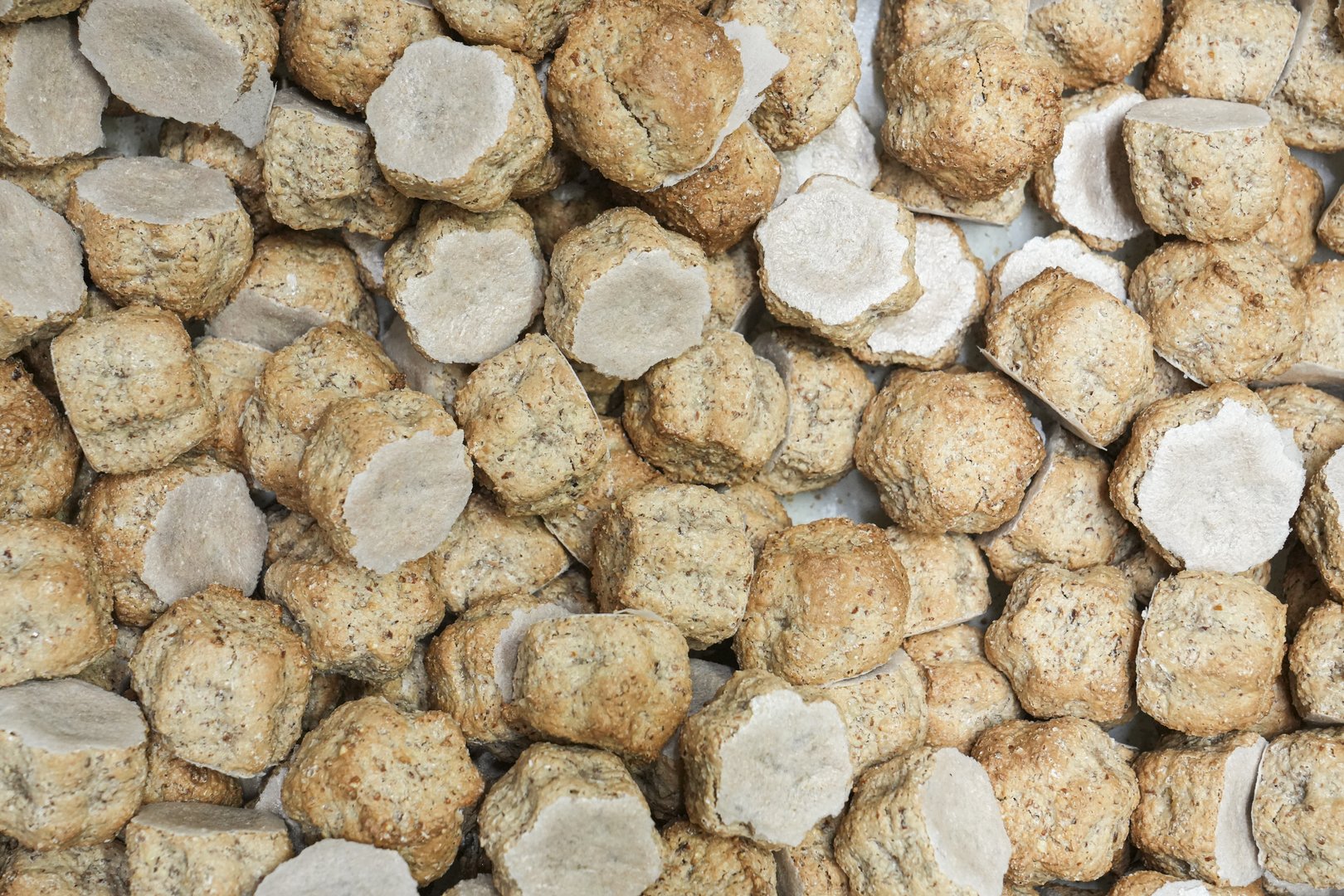 brutti-buoni10-ph-badiani