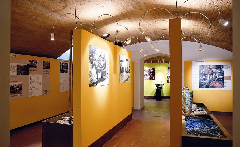Museo della Vite e del Vino Carmignano