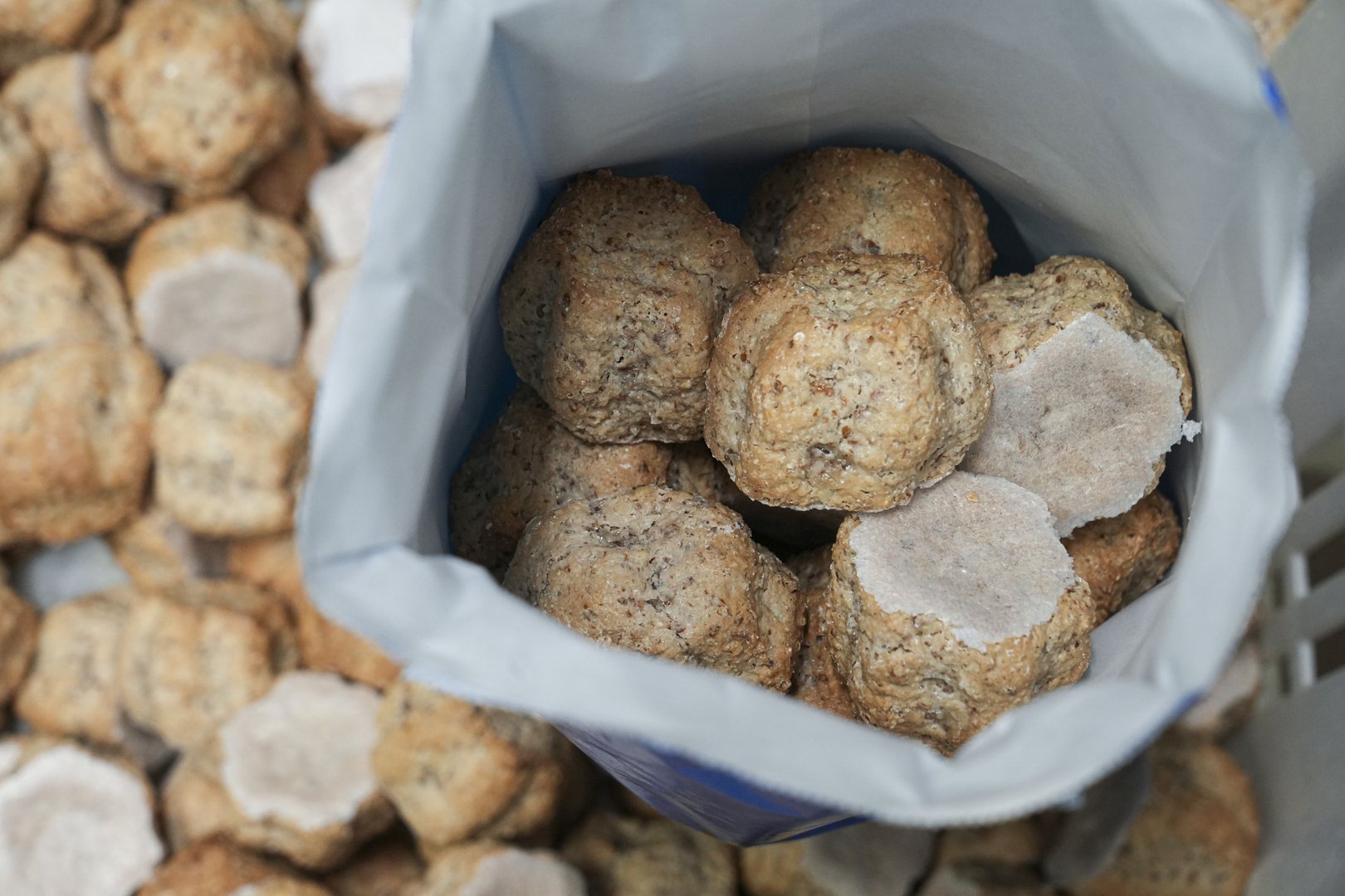 brutti-buoni2-ph-badiani