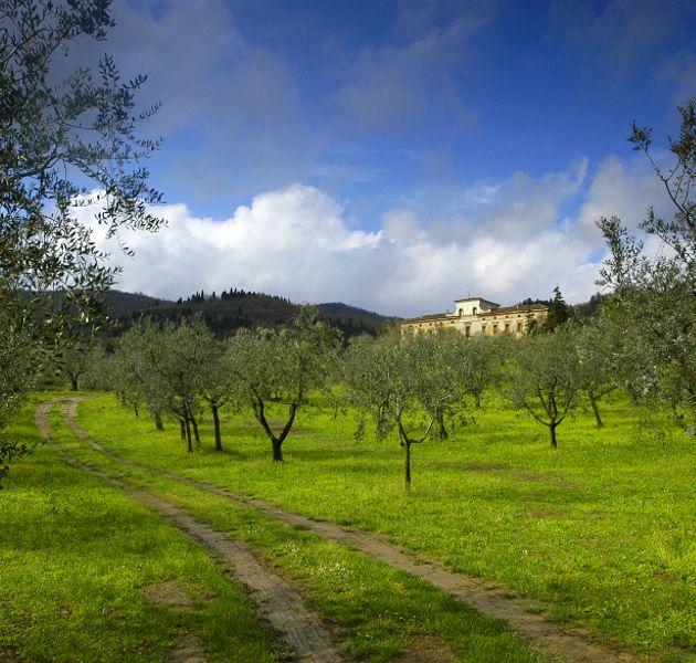 villa-barone-card-edited-ph-fallanti