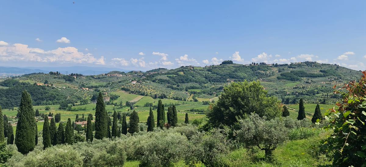 panorama-da-capezzana2-ph-faldi-righi