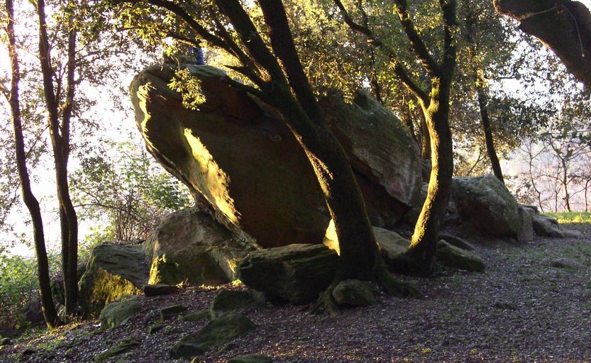 Area archeologica di Pietramarina Masso del diavolo Carmignano