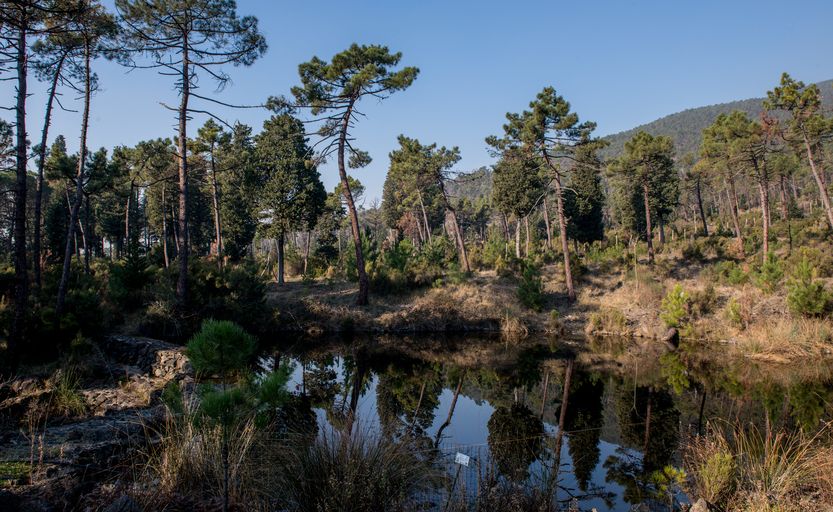 Centro di scienze Naturali