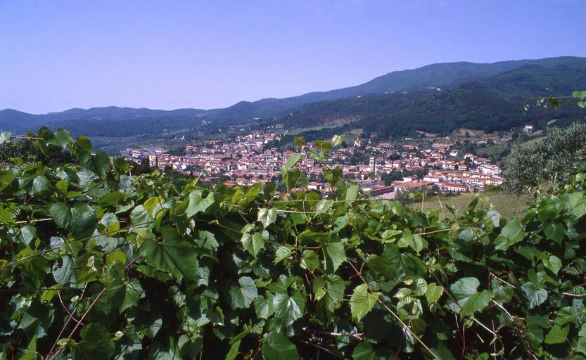 Vaiano Panorama