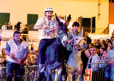 palio-dei-ciuchi-carmignano-festa-san-michele-2023-edited-ph-sforazzini