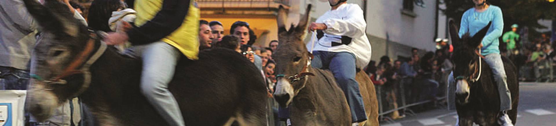 Palio dei ciuchi per San Michele Carmignano