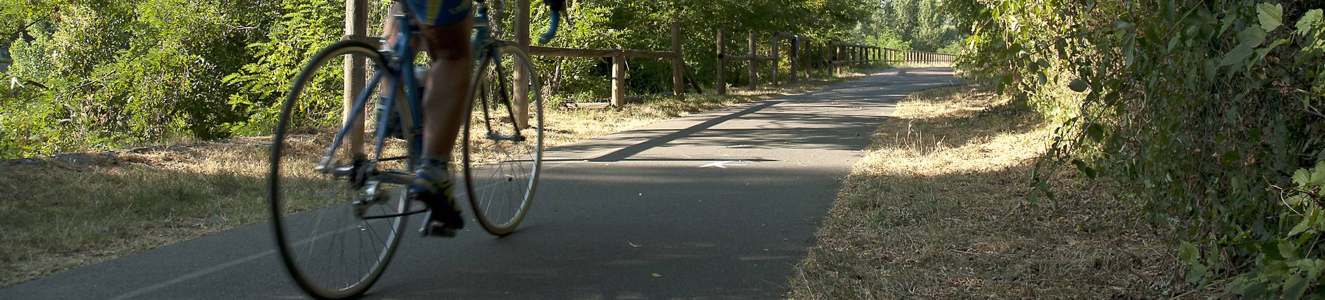 Pista ciclabile