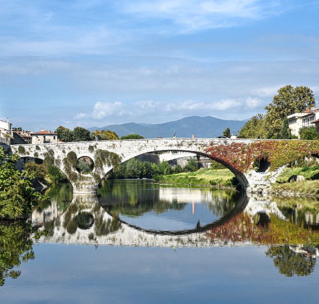 ponte-mercatale-edited-card-ph-badiani