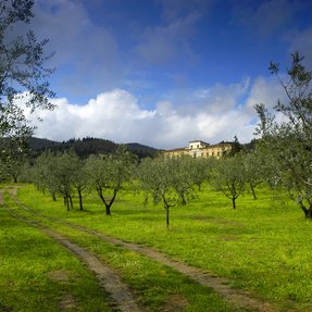 Villa del Barone Montemurlo