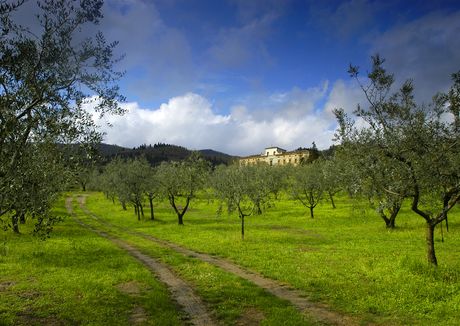 Villa del Barone Montemurlo