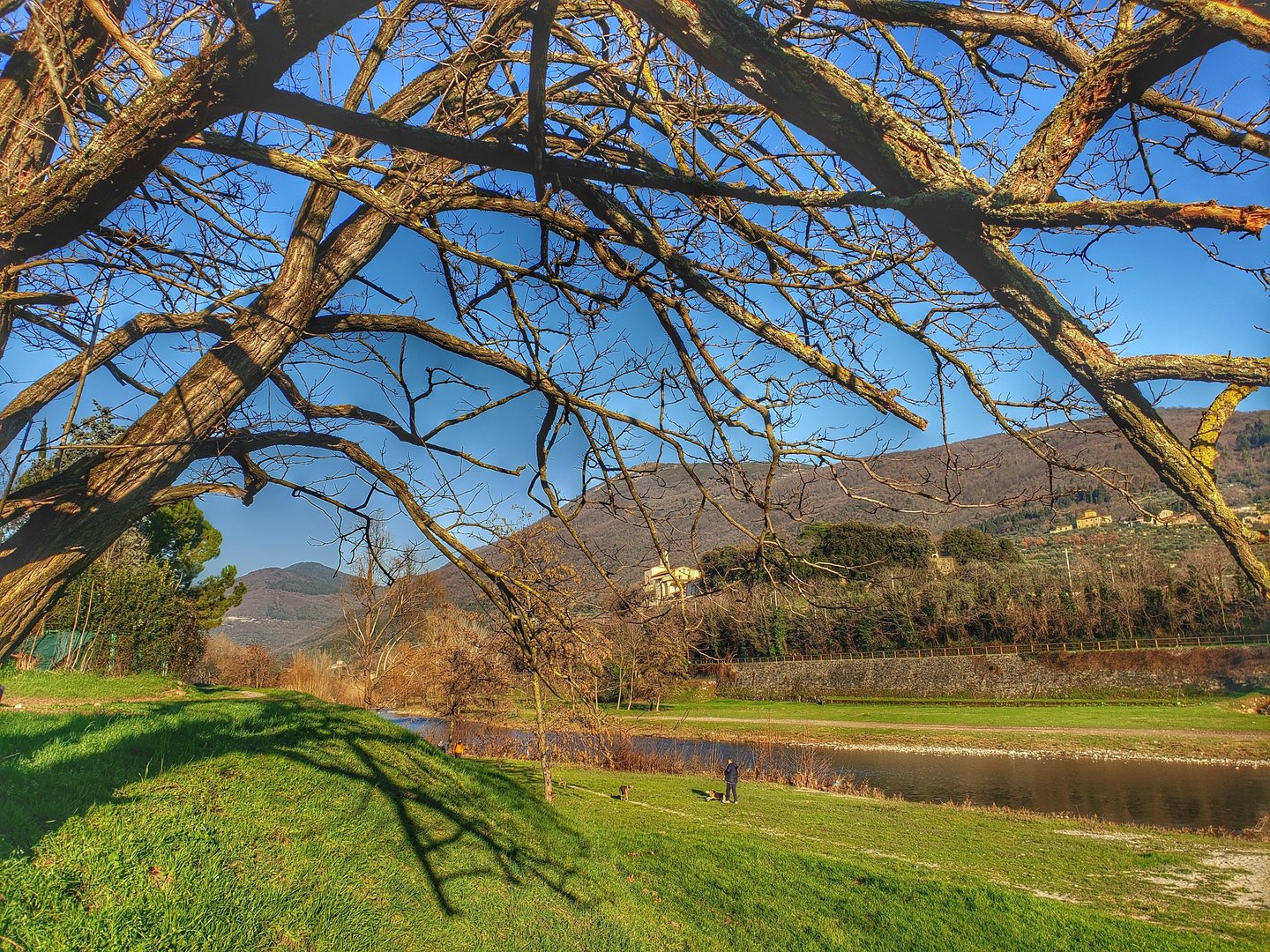 bisenzio-viale-galilei