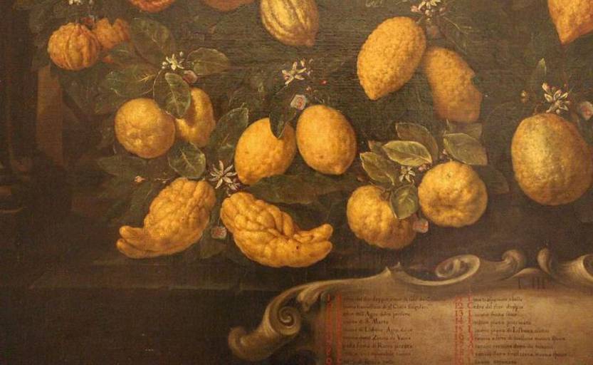 Museo della Natura Morta Poggio a Caiano