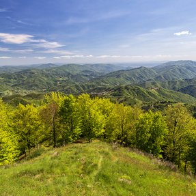 Poggio di Petto