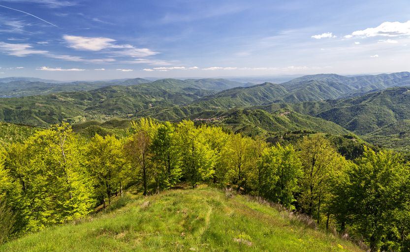 Poggio di Petto