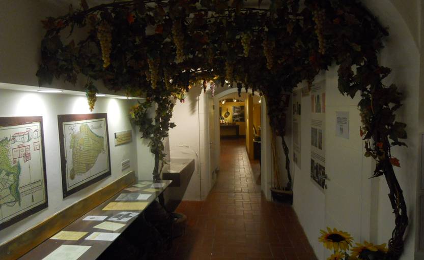 Museo della Vite e del Vino Carmignano