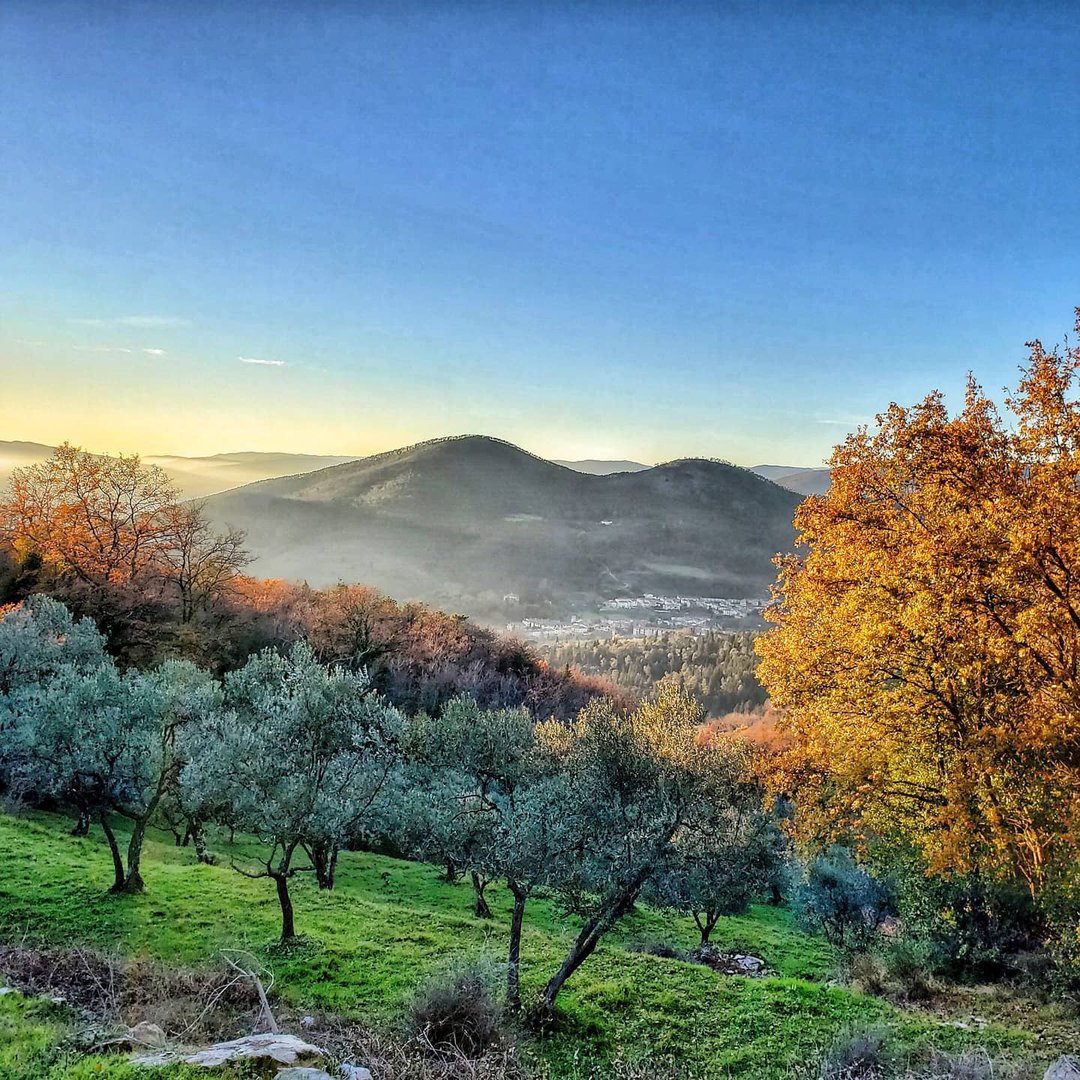 Monteferrato