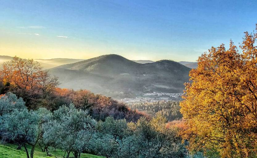 Monteferrato