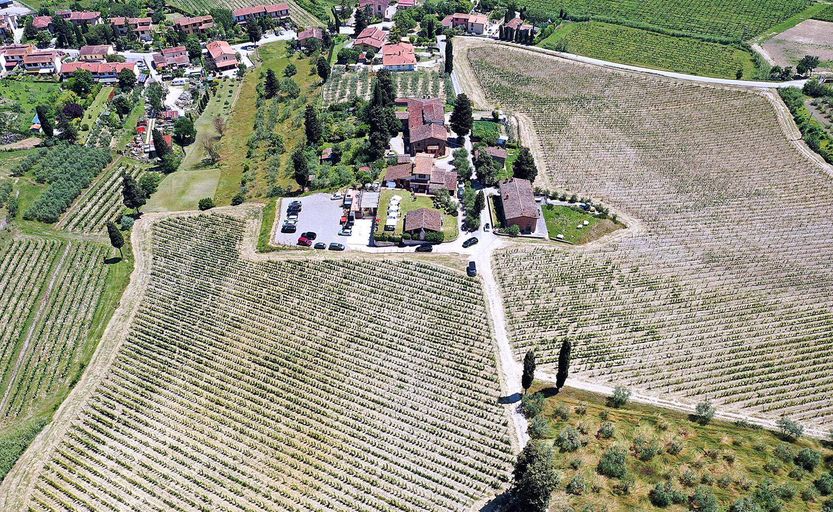 Azienda Pratesi Carmignano