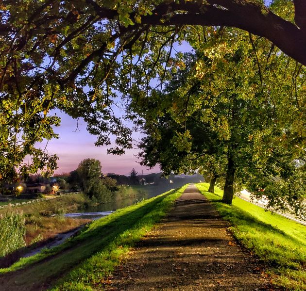 pista-ciclabile-gonfienti-card-edited-ph-righi