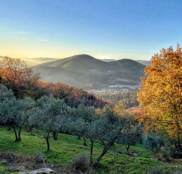 monteferrato-edited-card-ph-righi