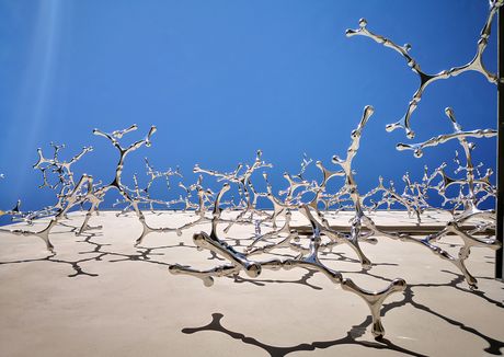 Waterbones di Loris Cecchini