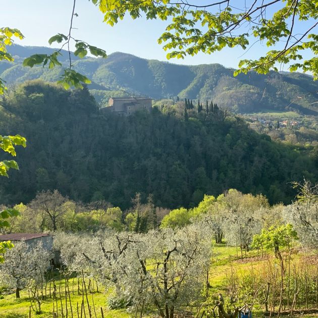 panorama-rocca