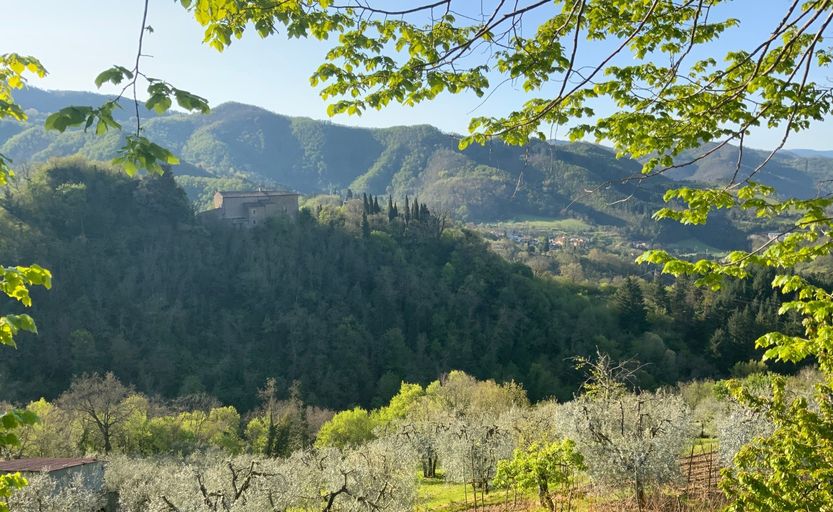 panorama-rocca